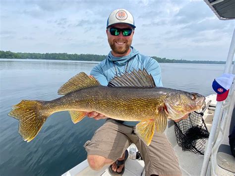 Walleye, walleye everywhere walleye .